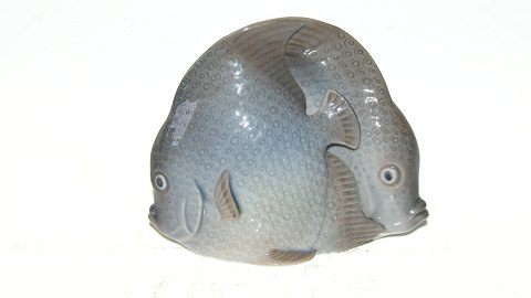 Rare Royal Copenhagen Figurine, Sunfish