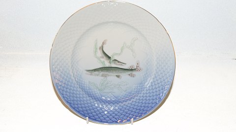 Bing & Grondahl Seagull frame with gold edge, Fishing plates with fishing motifs 
no. 4 Pike