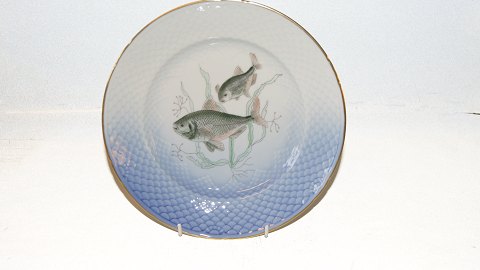 Bing & Grondahl Seagull frame with gold edge, Fishing plates with fishing motifs 
no. 12 Brasen