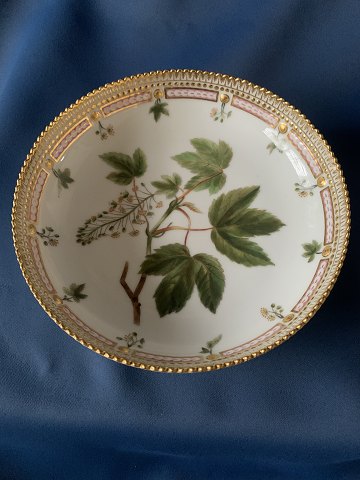 Flora Danica bowl, Acer pseudoplatanus - ordinary maple, 1st grade.