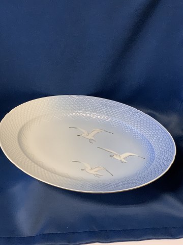 Bing and Grondahl Oval dish seagull with gold
Deck no. 14
Length 47.5 cm
