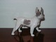 Rare Royal Copenhagen Dog Figurine
Bulldog