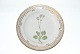vare nr:
125181