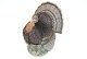vare nr:
134531