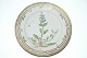 vare nr:
155265
