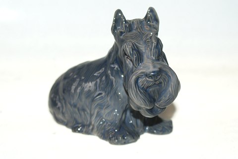 Kongelig Figur, Skottehund, Skotsk terrier
Dek. nr. 4917
SOLGT