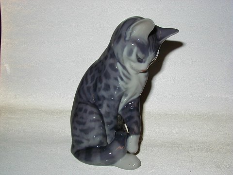 Large Royal Copenhagen Figurine
Cat