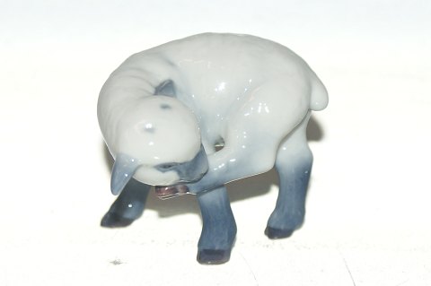 Royal Copenhagen figurine Lamb
Deck No. 757
SOLD