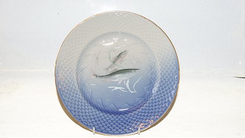 Bing & Grondahl Seagull frame with gold edge, Fishing plates with fishing motifs 
no. 1 Herring
SOLD