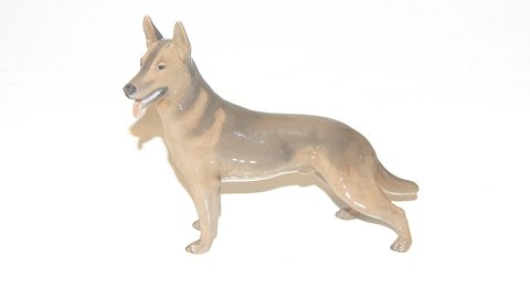 Royal Copenhagen Shæferhund
Dek nr 3261