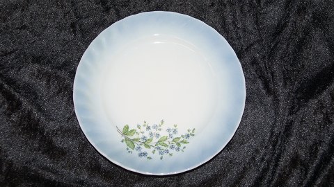 Dessert tallerken Christianholm Porcelæn
Den nr 5
Måler 17 cm i dia
web 13073   SOLGT