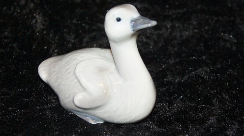 Royal Copenhagen Swan cub
Deck # 361
SOLD