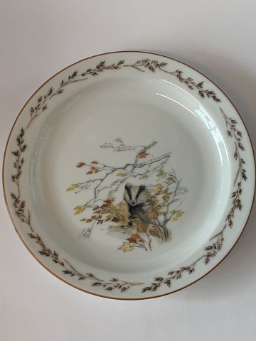 item no: 506207