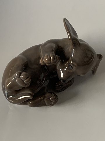 Royal Copenhagen Figure, Dachshund
Decoration number #103
1. sorting
Length 11 cm.