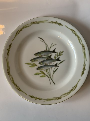 Lunch plate#Mads Stage Fish frame
Measures 20 cm