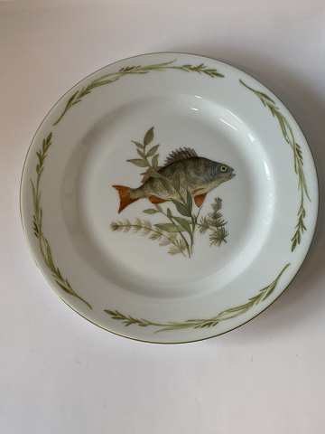 Lunch plate#Mads Stage Fish frame
Measures 20 cm