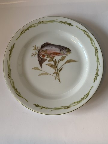 Lunch plate#Mads Stage Fish frame
Measures 20 cm approx in dia
Nice and well maintained condition