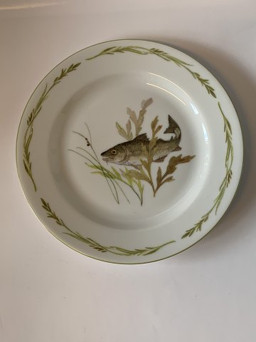 Lunch plate#Mads Stage Fish frame
Measures 20 cm