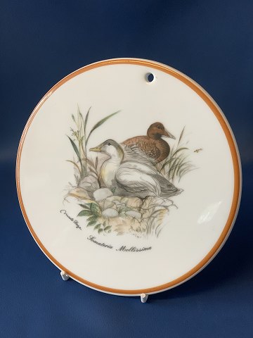 Jagtstellet Mads Stage Smørebrik / Platte, (Somateria Mollissima)
Eder bird
Diameter 16 cm.
SOLD