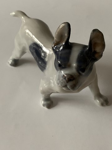 Royal Copenhagen figur af Boston terrier No 1457, 2. Sortering.