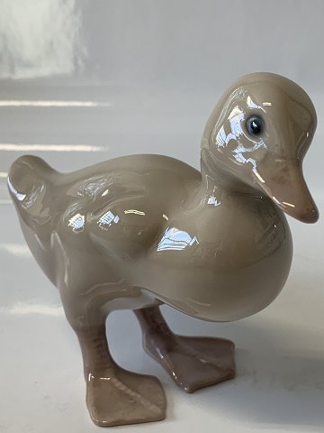 Bing & Grøndahl Figur Ælling
Dek. Nr. 1589.