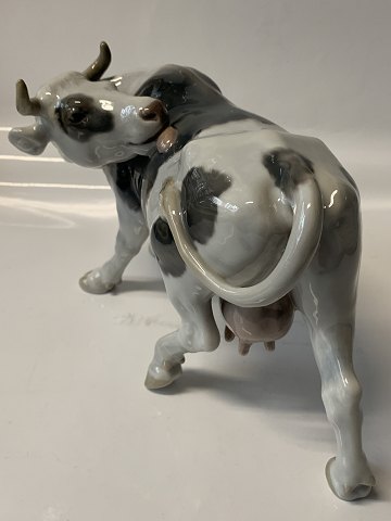 B&G figurine Cow licking its side
Dec. No. 2161.