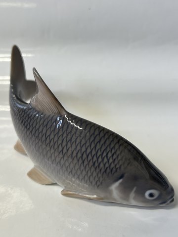 Royal Copenhagen fish figurine, skull.Decoration No. 2675.