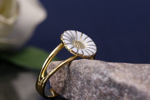S�lv ringe, Dame & Herre