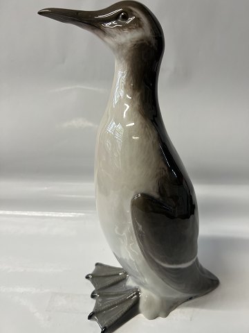 Royal Copenhagen Fuglefigur Guillemot (havfugl Alkefugl)Dek. Nr. 1676.