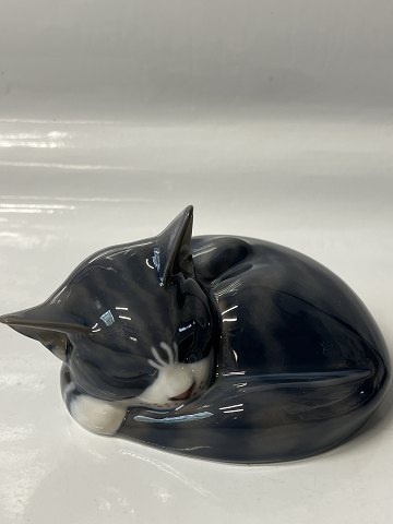 Royal Copenhagen, Figur Sovende Kat.Dek. Nr. 422.