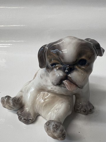 Dahl Jensen, Figur Pekingeser hvalp.Dek. Nr. 1134.