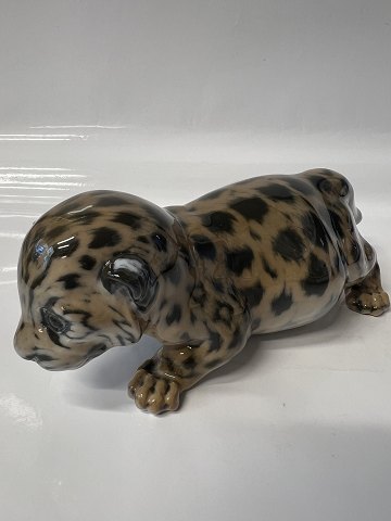 Royal Copenhagen figurine, Jaguar cub.Dec. No. 4659.Measures 6 x 22 cm.