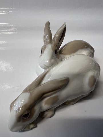 Bing and Grondahl, Figurine Rabbit pair Rare figurine.No. 1830.