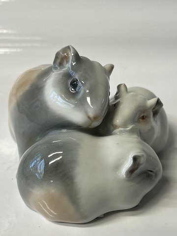 Bing and Grondahl, Figure three Guinea pigs Rare figure.No. 2-1559.