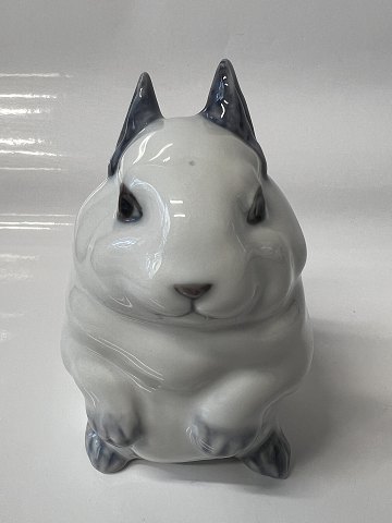 Royal Copenhagen figurine, Rabbit young.Dec. No. 250.Height 9.0 cm.