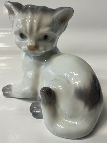 Lyngby Figur, Siddende Kat.Mål 11,5 x 13,5 cm.