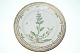 Royal Copenhagen Flora Danica Dinner Plate
SOLD