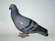 Bing & Grondahl Bird Figurine
Pigeon