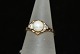 Gold ring with pearl and diamonds 14 carat.
Size: 51, -16.23 mm.