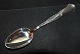 Dinner spoon Louise Silver
Cohr Fredericia silver
Length 21.5 cm.
