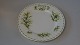 Breakfast plate "January" Royal Albert Monthly
English Stel
Flower motif: Snowdrops