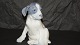 Large Royal Copenhagen Dog Figure, Pointer Puppy
Dek. # 051 or # 259
