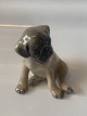 Royal Copenhagen, Moppe puppy
Dec. no. 3169