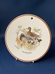 Jagtstellet Mads Stage Butter piece / plate, Atlingand
(Anas Querquedula)
Diameter 16 cm.
SOLD