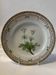 Royal Copenhagen Flora Danica, Lunch plate
Dec. number 20/3550
Diameter 22 cm.