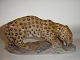 Very Rare Royal Copenhagen Figurine, 
Jaguar.