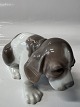 Lladro, Spanish figure: Dog Beagle.Measures 8.5 x 15 cm.