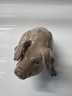 Bing and Grondahl, Sitting Pig Figurine.No. 1582. Designedby Dahl Jensen.