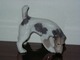 Rare Royal Copenhagen Terrier Dog Figurine
