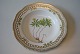 Flora Danica Soup plate
Dia. 24,5 cm.
SOLD